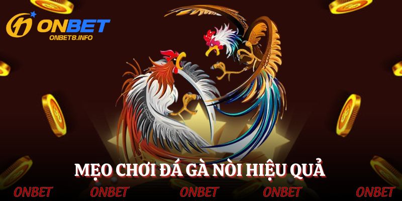 Mẹo vàng cho kê thủ khi chơi cá cược đá gà