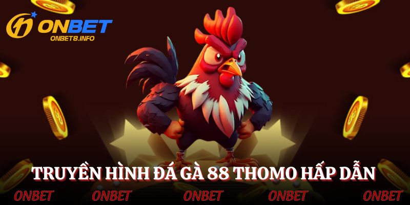Truyền hình đá gà 88 Thomo hấp dẫn cùng kèo cược đa dạng